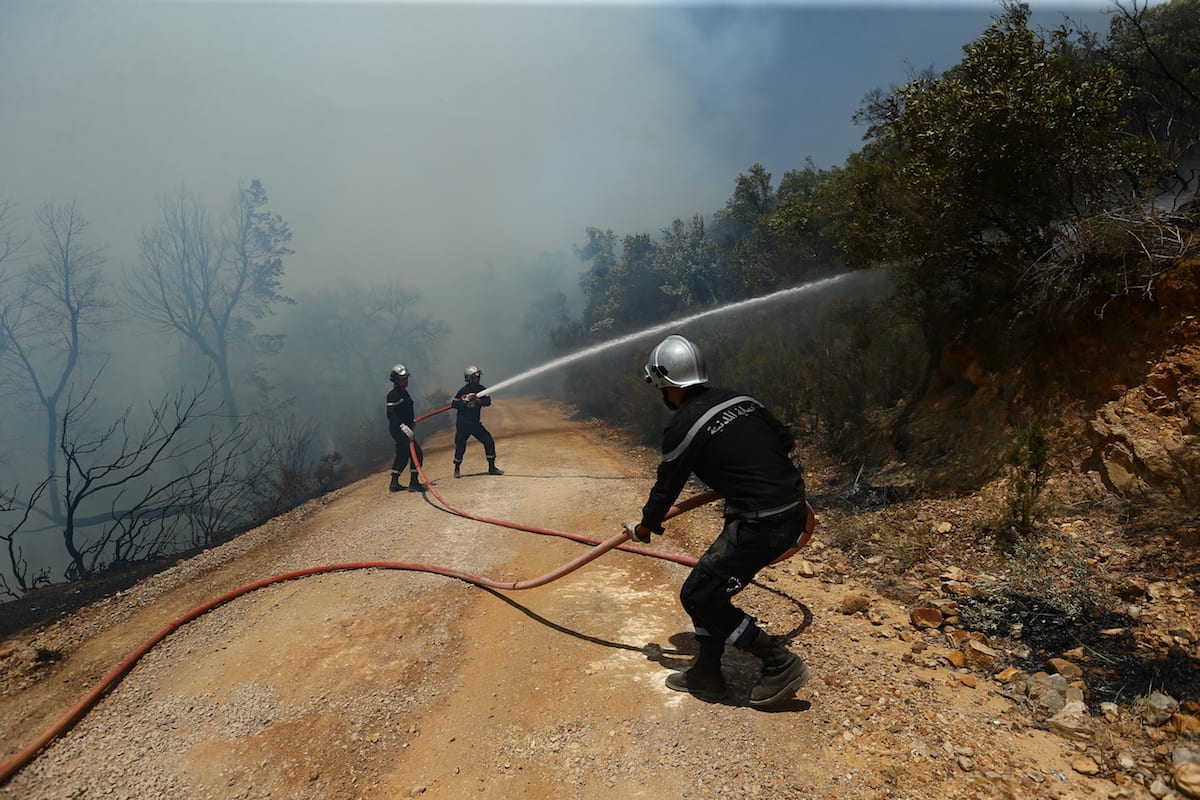 Tunisia forest fires – Middle East Monitor