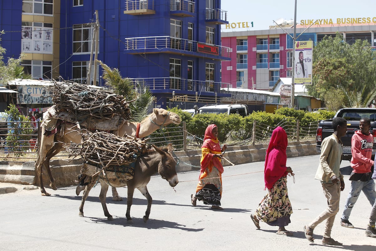 JIGIIA, ETHIOPA - NOVEMBER 02: Ethiopian women walk with a ...