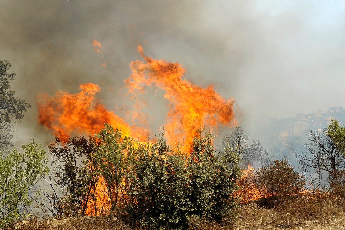 Algeria Puts Out Wildfires In Tizi Ouzou Province – Middle East Monitor