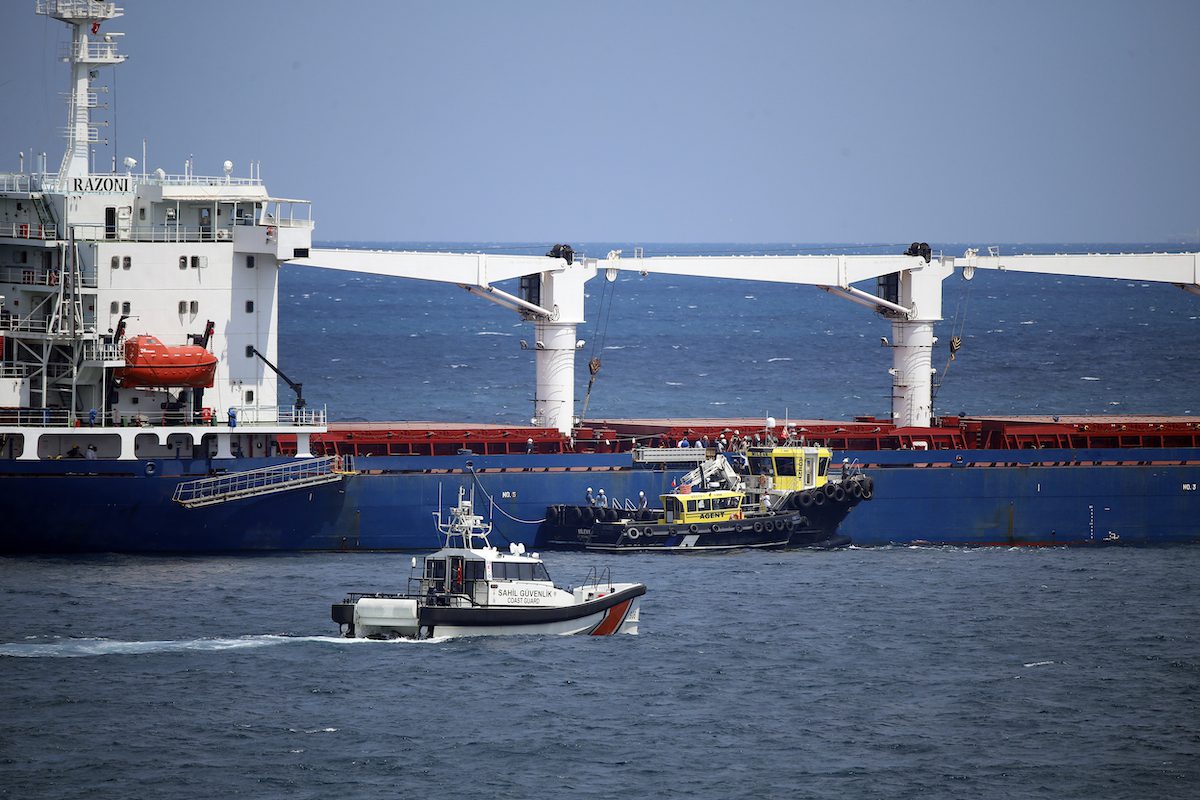 Inspection Of 1st Ukraine Grain Ship Completed In Istanbul – Middle ...