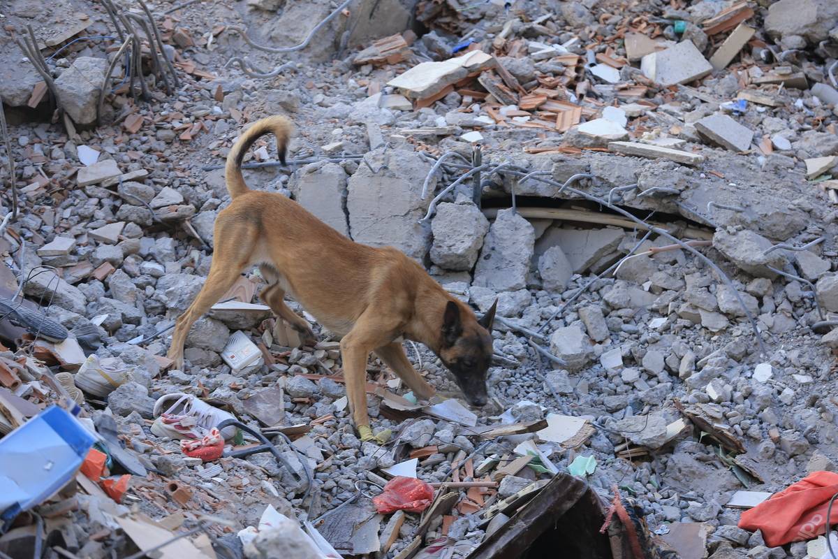 Search And Rescue Efforts Continue In Quake-hit Diyarbakir – Middle ...