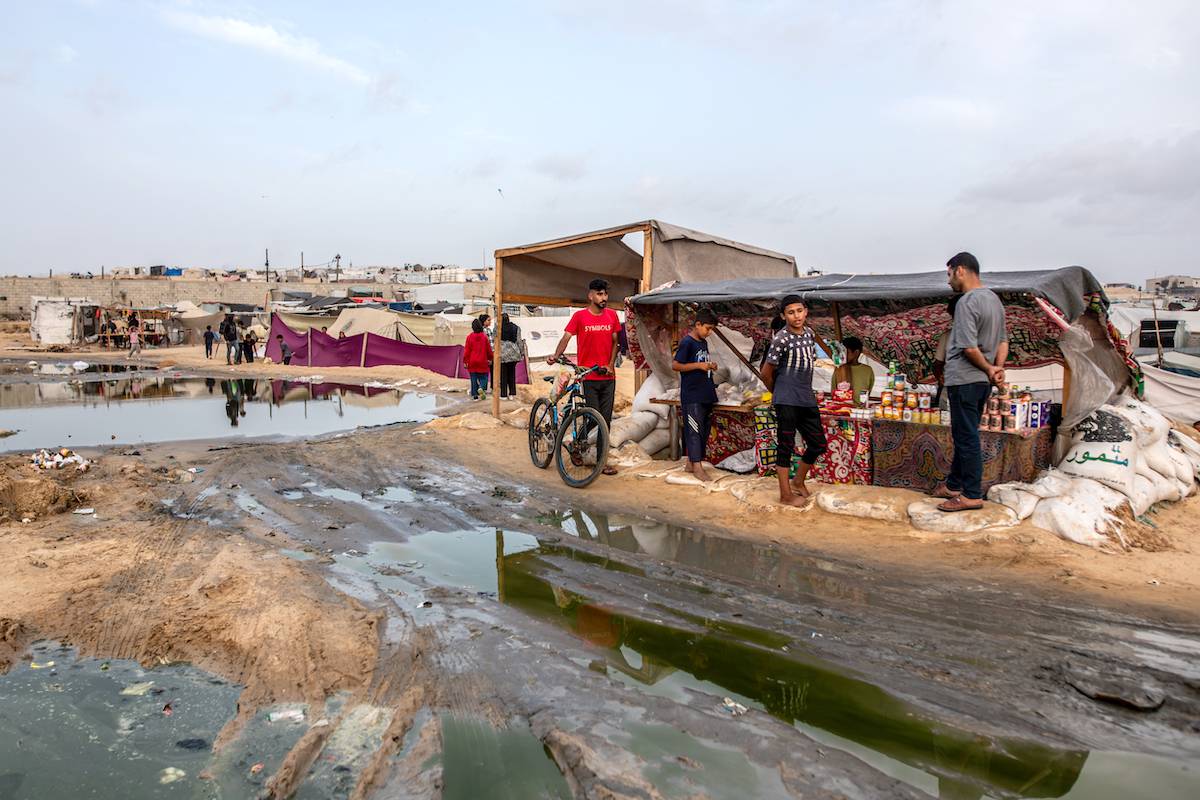 Israel war causes ‘catastrophic damage’ to natural environment in Gaza ...